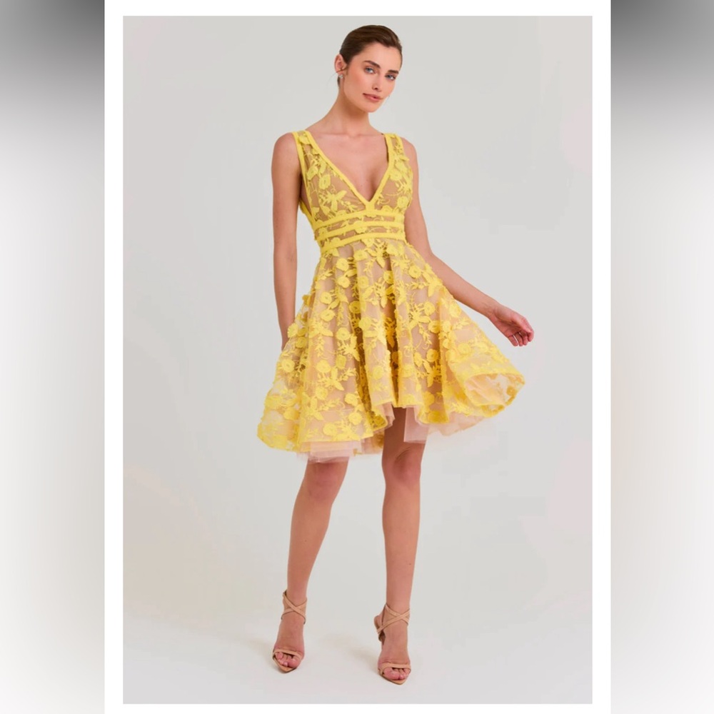 Sleeveless yellow and nude floral Nadine Merabi spring 2024 dress, only worn 1X